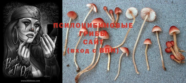 PSILOCYBIN Богородск